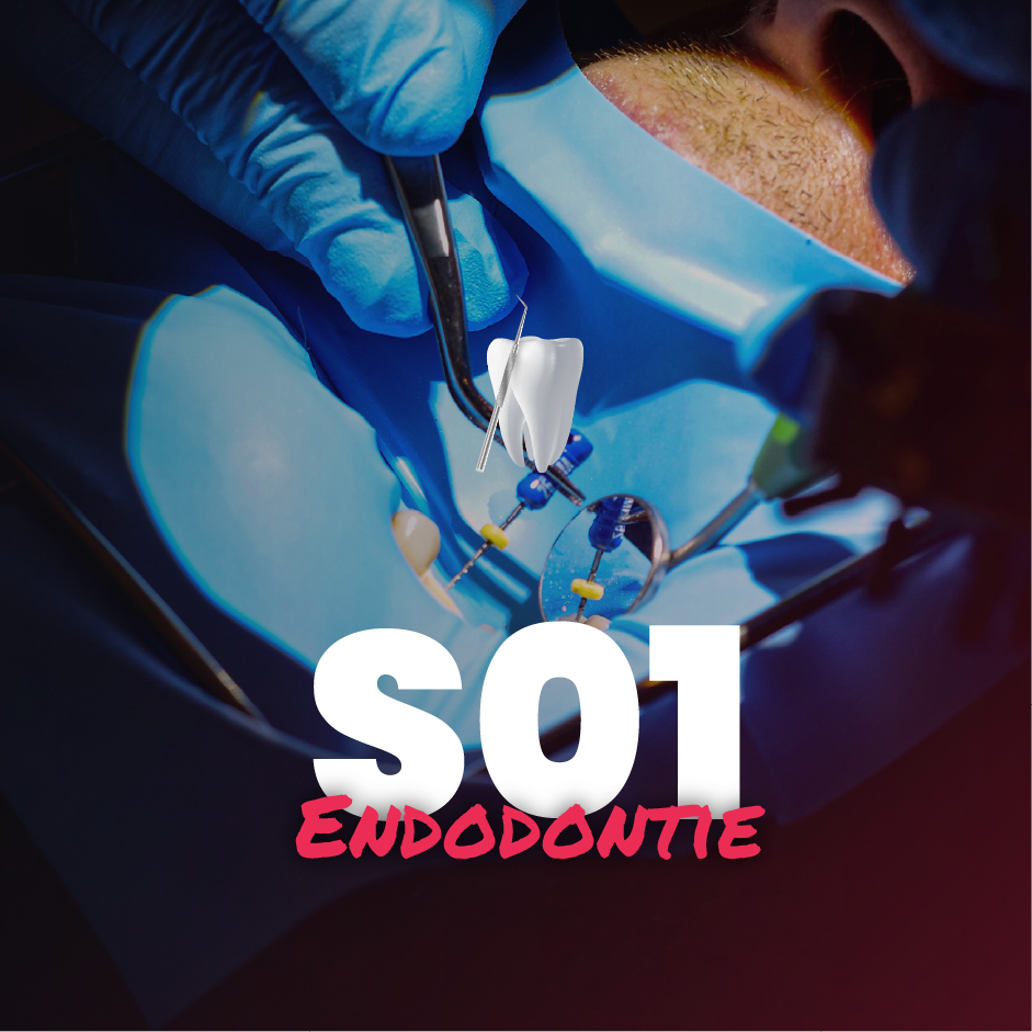 Endodontie - Saison 1