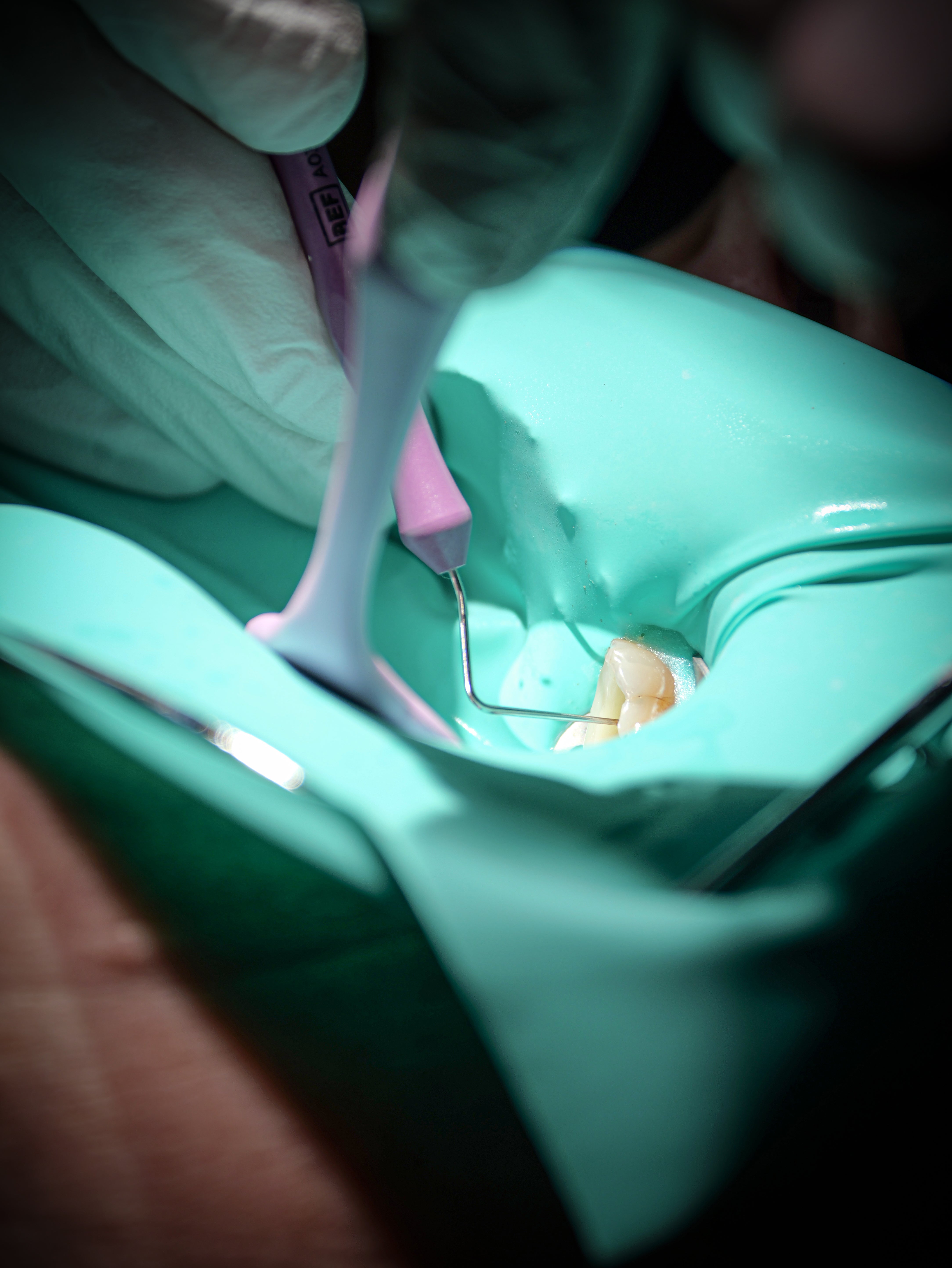 Endodontie - Saison 1