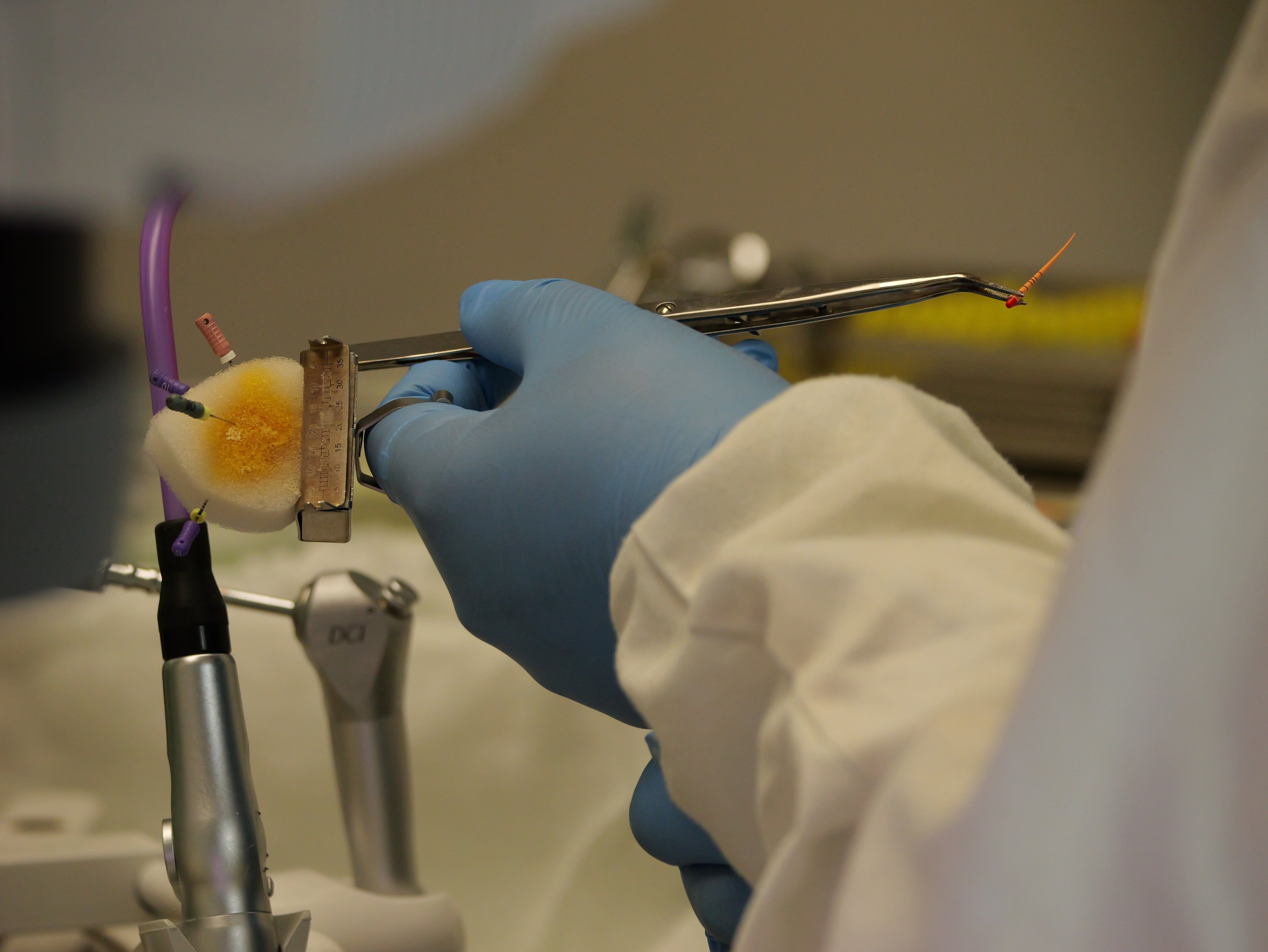 Endodontie - Saison 2
