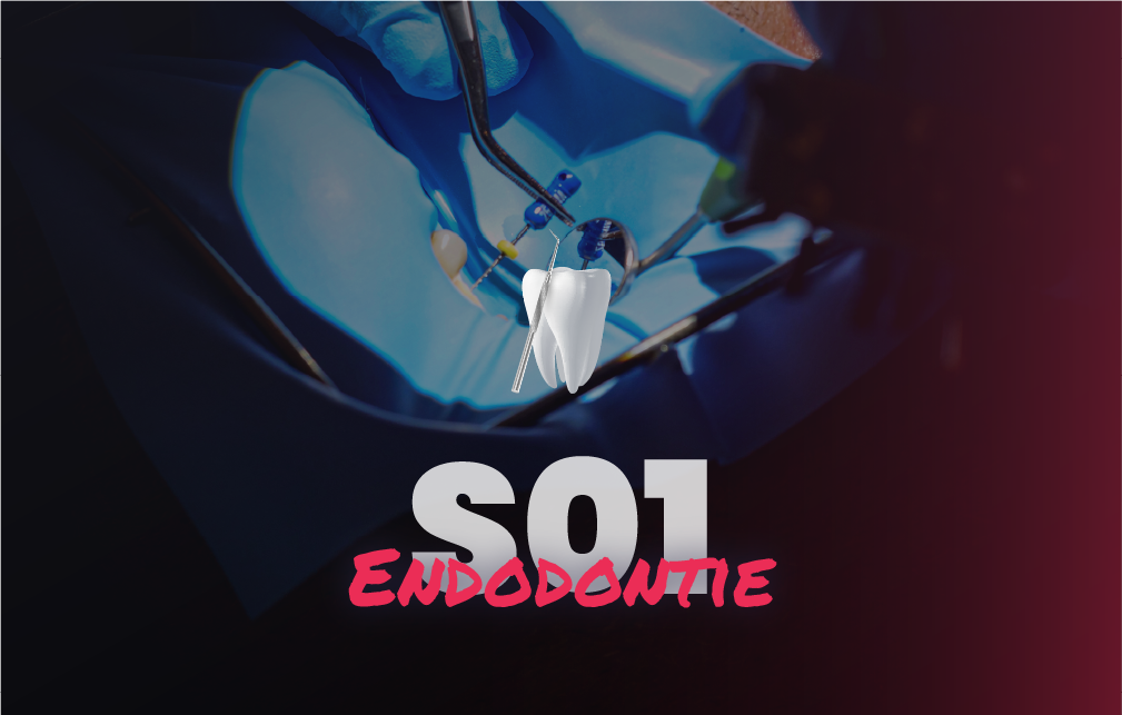 Endodontie - Saison 1