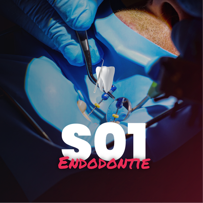 Endodontie - Saison 1