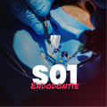 Endodontie - Saison 1