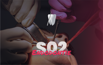Endodontie - Saison 2