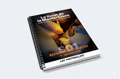 Livret de la MasterClass Restaurations directes & indirectes - Saison 1