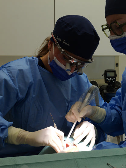 Parodontie & Chirurgie muco-gingivale - Saison 1