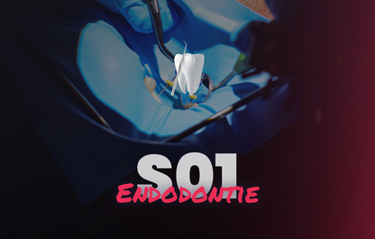 Endodontie - Saison 1