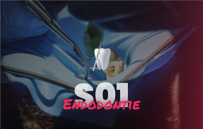Endodontie - Saison 1